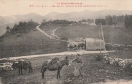 VALLEE DE LA BALLONGUE (Haute-Garonne) - Sommet Du Col De Portet - Très Animée (ânes) - Autres & Non Classés