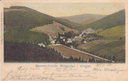 1900    Sommerfrische Wildenthal I Ersberg - Eibenstock