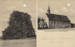 1925    Schwanebeck   -  Herrgottskapelle -  600jährigeLinde - Unterharz