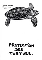 CPM Protection Des Tortues Tortue Franche Turtle Tortoise Protection Animale Animal Welfare - Tortues