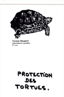 CPM Protection Des Tortues Tortue-Léopard Turtle Tortoise Protection Animale Animal Welfare - Tortues