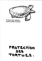 CPM Protection Des Tortues Tortue Sans Plaque De Nouvelle Guinée Turtle Tortoise Protection Animale Animal Welfare - Schildpadden