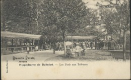 Boitsfort : Hyppodrome: Les Paris Aux Tribunes - Belle Animation - Watermaal-Bosvoorde - Watermael-Boitsfort