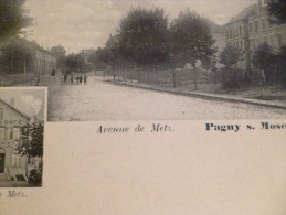 CPA Meurthe Et Moselle Pagny Sur Moselle Avenue De Moselle - Autres & Non Classés