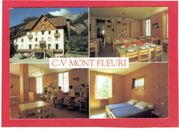 SAINT MARTIN SUR AVRE 1989 CENTRE DE VACANCES LE MONT FLEURI CARTE EN BON ETAT - Saint-Julien-en-Genevois