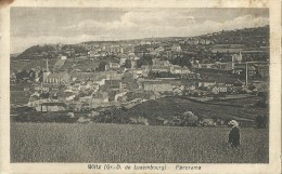 CP Wiltz - Panorama Niederwiltz 1922 - Wiltz