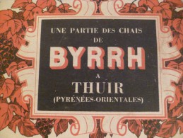 Carnet Pu Cpa Chais De Byrrh à Thuir Pyrénées Orientales Viticulture - Otros & Sin Clasificación