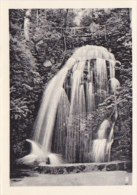 Germany - Basteigebiet - Amselfall - Wasserfall - Waterfall - Photo 65x90mm - Rathen