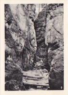 Germany - Basteigebiet - Bastei Gebiet - Schwadenlocher - Photo 65x90mm - Rathen