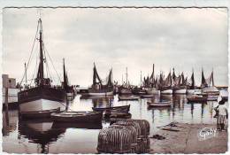 29. LESCONIL . LE PORT . ANIMATION . BATEAUX DE PECHE - Lesconil