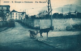 CARTOLINA DI SAN GIORGIO A CREMANO VIA BORRELLI   NON VIAGGIATA MA CIRCA ANNI 30 - San Giorgio