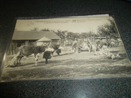 CP ANCIENNE THIBOUVILLE  HARCOURT LA NEUVILLE  MAISON ST VINCENT TRAITE DES VACHES - Harcourt