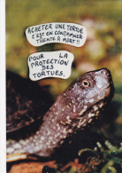 CPM Protection Des Tortues Protection Animale Animal Welfare Turtle Tortoise Tirage Limité LARDIE - Schildkröten