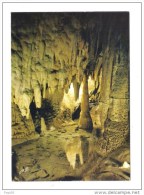 64.- Grottes D'Isturitz Et D'Oxocelhaya. Le Miroir . Pays Basque. 12 Km Hasparren, 20 Km De Cambo - Hasparren