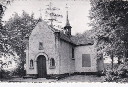 HERENTALS.-- KAPELLEKE VAN DE KRUISBERG - Grote Plooi 1952 - Kasterlee