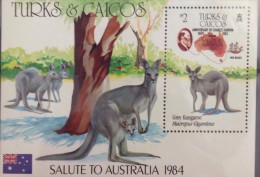 Turks & Caicos Islands MNH Souvenir Sheet 1981 : Anniversary Of Charles Darwin / Visiting To Australia / Kangooroo - Altri - Oceania