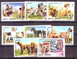 Romania 1990 Y Fauna Animals Dogs Mi No 4603-10 MNH - Ungebraucht