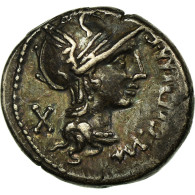 Monnaie, Cipia, Denier, Roma, TTB, Argent - Republiek (280 BC Tot 27 BC)