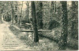 CPA 95 VALMONDOIS LES BORDS DE SAUSSERON CHEMIN D ORGIVAUX - Valmondois