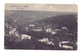 0-1310 BAD FREIENWALDE, Brunnental, 1905, Trenkler, Kl. Randmängel - Bad Freienwalde