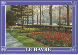Le Havre : Le Square Saint Roch Vers L'avenue Foch (neuve) - Square Saint-Roch