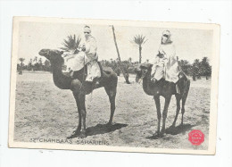 Cp , ALGERIE , CHAMBAAS SAHARIENS , Collection Des Biscuits OLIBET , Vierge , Folklore - Männer