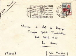 Martinique - Fort De France RP 1965 - Lettre Avec  Flamme Fleurs Volcan Paquebot Palmier - Brieven En Documenten