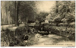 77 - DONNEMARIE-DONTILLY - L'Abreuvoir - Animée, Vaches - Donnemarie Dontilly