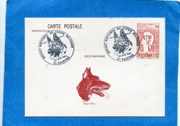 Marcophilie- Carte Entier Postal Philexfrançe 1982-repiquage "brevet National Du Chien "SUIPPES"cachet Cvoncordant - Overprinter Postcards (before 1995)