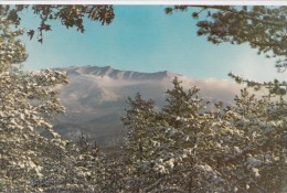 USA, Winter In The Smoky Mountains National Park, Mount Le Conte, Unused Postcard [16475] - USA National Parks