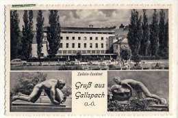 AK  Oberösterreich> Gallspach ZEILEIS-INSTITUT ANSICHTSKARTE 1954 - Gallspach