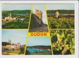 CPM - OUDON - Multivues - Ses Sites - Oudon