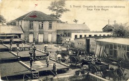 S THOMÉ, SÃO TOMÉ, Chegada Do Cacao Para Taboleiros, Roça Vista Alegre, 2 Scans - Santo Tomé Y Príncipe
