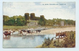 Rhuddlan Castle - Celesque - Denbighshire