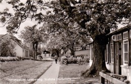 2941 SPIEKEROOG, Südliche Dorfstrasse, 1960 - Wittmund