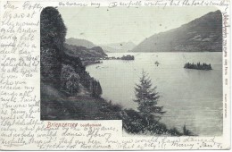 BRIENZERSEE  BEI  ISELTWALD 1902 - Iseltwald