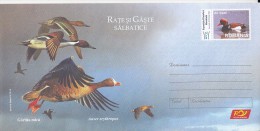 3485FM- LESSER WHITE FRONTED GOOSE, WILD GEESE AND DUCKS, BIRDS, COVER STATIONERY, 2007, ROMANIA - Oche