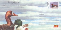 3486FM- GREATER WHITE FRONTED GOOSE, SHOVELER, WILD GEESE AND DUCKS, BIRDS, COVER STATIONERY, 2007, ROMANIA - Gänsevögel