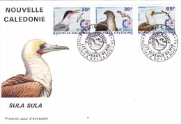 NOUVELLE CALEDONIE 1995 @ Enveloppe Premier Jour FDC Oiseaux De Mer - Sterna - Pandion - Sula - FDC