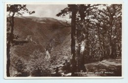 Devil's Bridge - Woodland Path - Cardiganshire