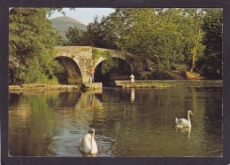 64  ASCAIN  La Nivelle Et Le Pont Romain   Vers 1970 - Ascain