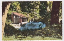 Osny. Lavoir Sur La Viosne. - Osny