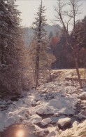 USA, Winter Scene In Great Smoky Mountains National Park, Unused Postcard [16502] - USA National Parks