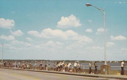 USA, Greetings From Ocean City, Maryland, Bay Fishing, Unused Postcard [16520] - Ocean City