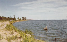 USA, Greetings From Ocean City, Maryland, Unused Postcard [16527] - Ocean City