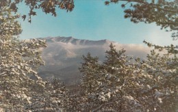 USA, Winter In The Great Smoky Mountains National Park, Unused Postcard [16530] - USA National Parks