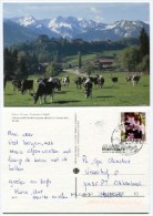Schweiz - Château Et Ville De Gruyère - Used 2008 - Stamp - FR Fribourg