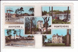 CP  12160 - MONTENDRE LES PINS- Multivue - Montendre