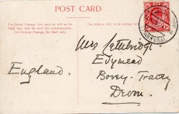 Transvaal Jolie Carte Postale Pour L'Angleterre 1906 - Transvaal (1870-1909)