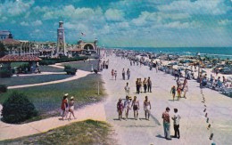 Ocean Front Park Looking Toward Band Shell Daytona Beach Florida 1955 - Daytona